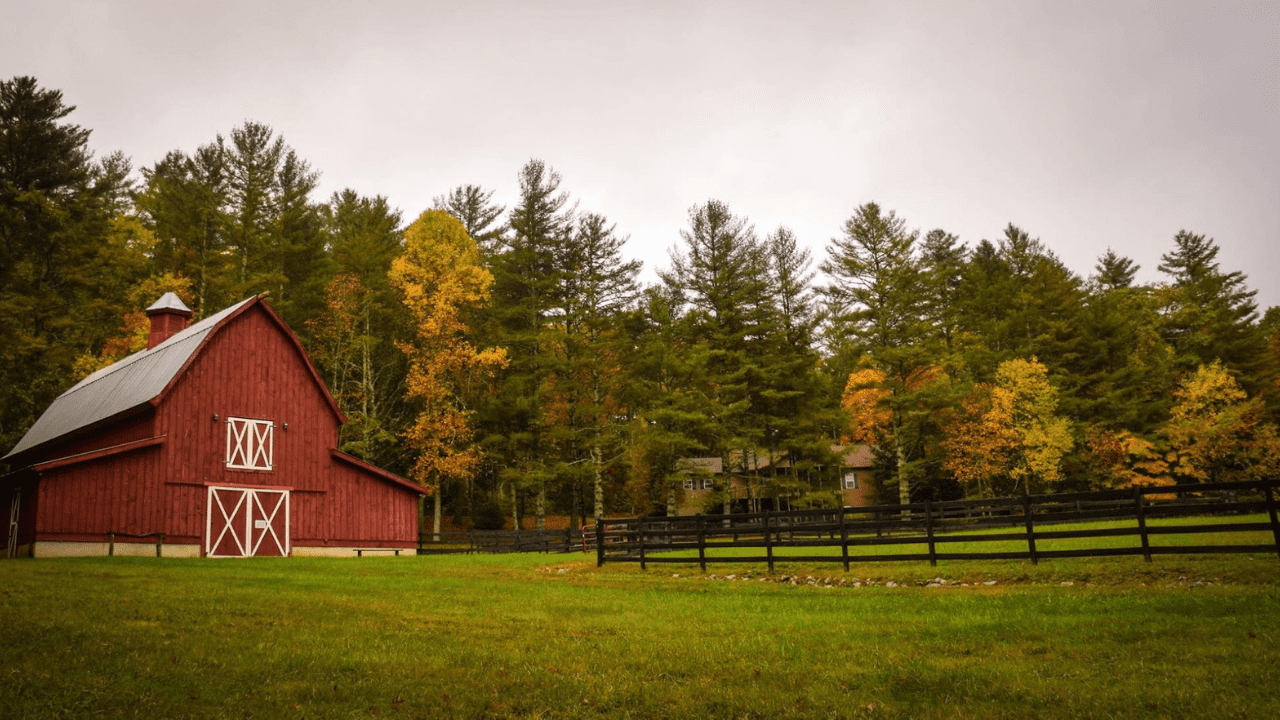 Farm and house